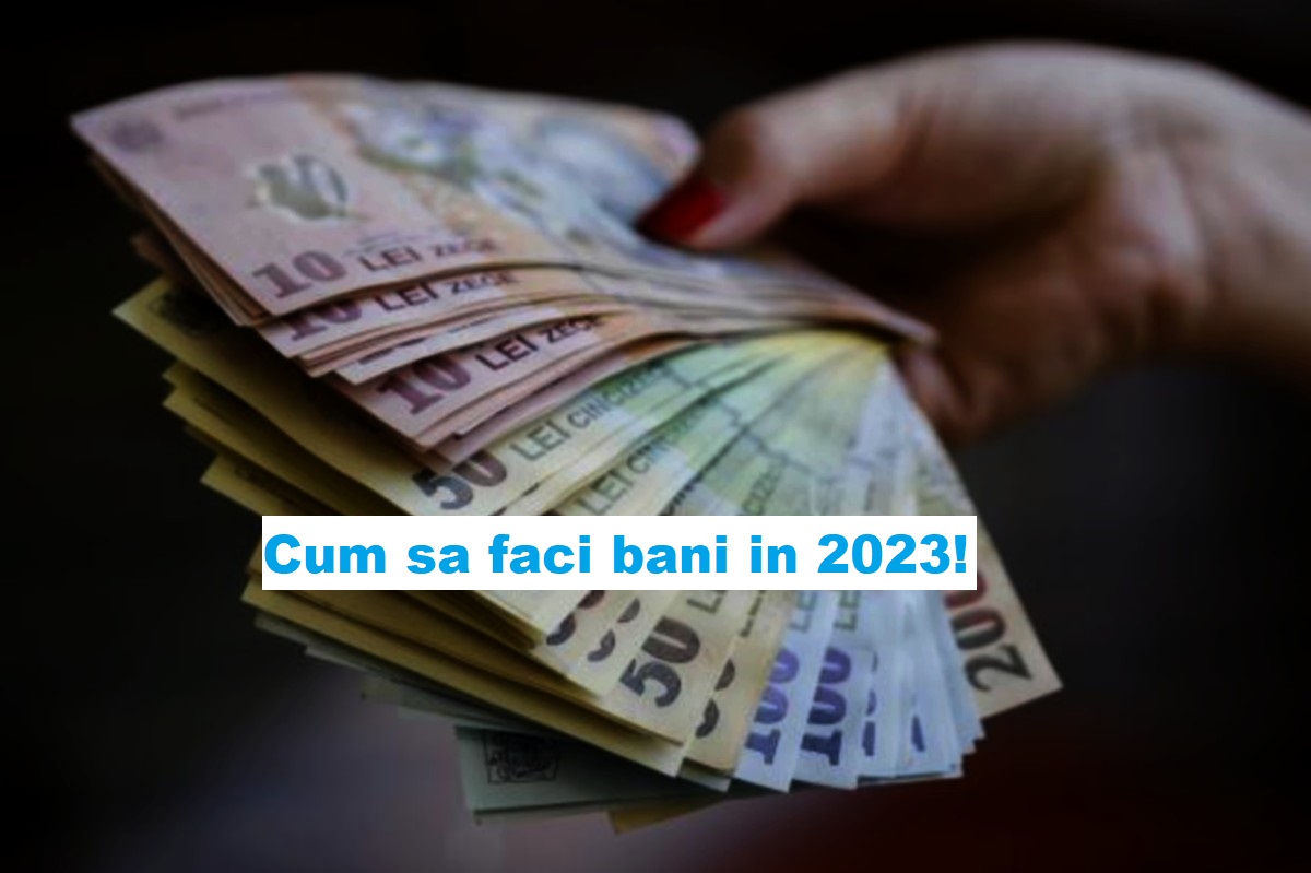 cum să faci bani pe internet 2023)